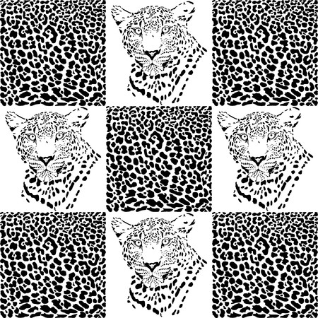 Vector illustration of a leopard and leopard furのイラスト素材
