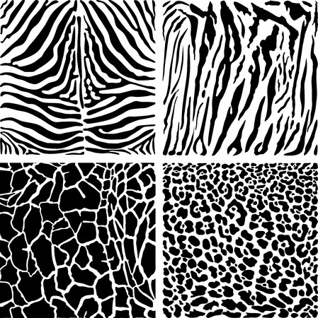 Vector black and white illustration animal pattern backgroundのイラスト素材