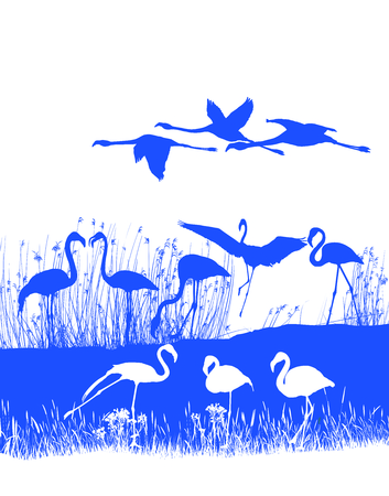 Isolated illustration of a flock of flamingos on the shore のイラスト素材