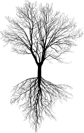 Illustration of a tree without leaves with roots のイラスト素材