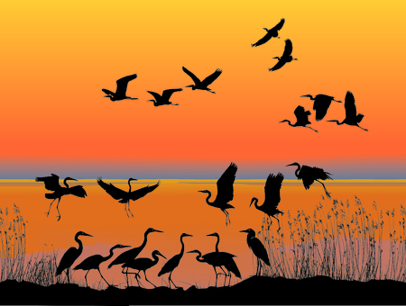 Illustration of a flock of herons on the lake shore at sunsetのイラスト素材