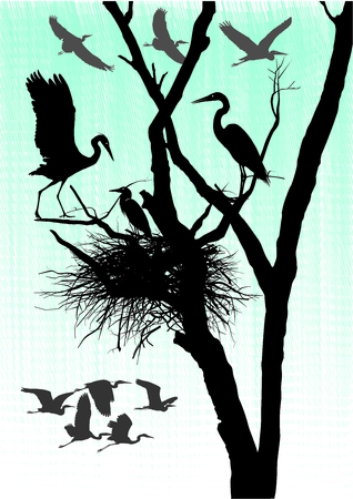 vector illustration herons nest in the dry treeのイラスト素材