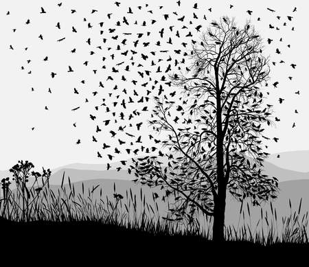 Vector illustration of the crows on the tree and in the airのイラスト素材
