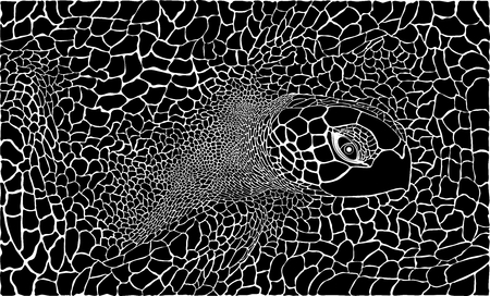 vector illustration of turtle skins and headのイラスト素材