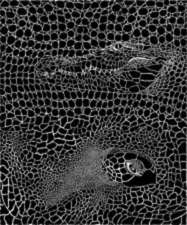 Black and white vector illustration background with crocodile and turtleのイラスト素材