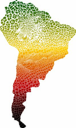 Color, bstract illustration of symbol of South America as a jaguar and crocodile skin and headsのイラスト素材