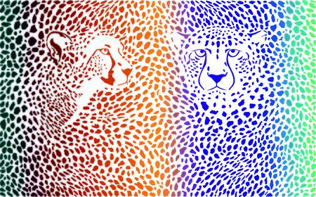 Vector illustration color background of cheetah skins and with two headsのイラスト素材