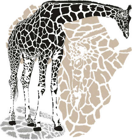 vector background with giraffe motif, giraffe footprints and stylized map of Africaのイラスト素材