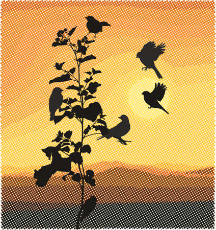 vector illustration of small songbirds on burdock, in the background raster landscape with sunsetのイラスト素材