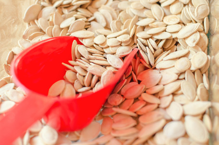 shovel and seeds from pumpkinsの写真素材