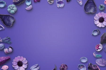 Flower purple background. Free space in the middle for text.の写真素材
