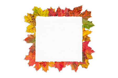 Blank paper surrounded by leaves on white surface. Creative greeting card with copy space. Autumn season bacgkroundの写真素材