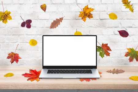 Autumn colorful leaves fall on the laptop. Creative concept. Laptop with isolated screen for mockup, design presentationの写真素材