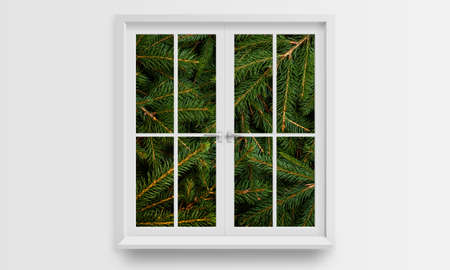 Christmas tree fir branches through the window conceptの写真素材
