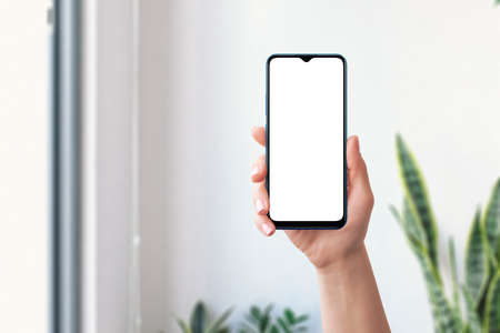 Phone mockup in woman hand. Front position. Isolated screen for mockup. Living room in background with plantの写真素材