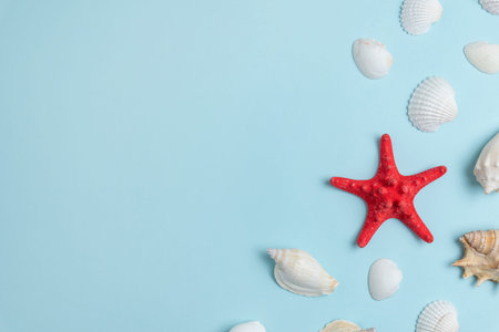 Starfish and shells on blue surface. Top view, flat lay summer background