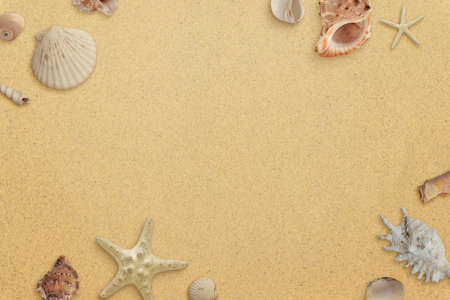 Flat lay minimal beach composition with shells on sand. Copy space in the middle. Top viewの写真素材