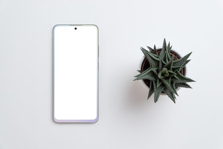 Phone and plant on gray surface. Isolated screen for app design promotion mockup. Top view, flat layの写真素材