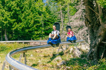 Ski resort mountain coaster. Two girls, one behind the other, are going down the ski slope. Forest and trees in the backgroundの写真素材