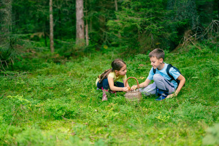 Girl and a boy in boots are sitting and putting mushrooms they found in the forest into a basketの写真素材