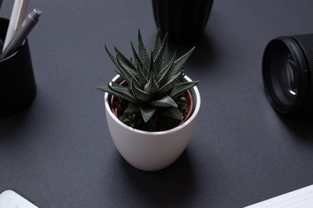 Plant on black office desk surounded by work supplies. Business workdesk compositionの写真素材