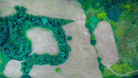 Aerial photo of harvested fields and winding forest edges forming organic patterns in rural...