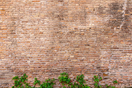 Rustic brick wall with natural greenery at bottom edge, merging architecture and natureの写真素材