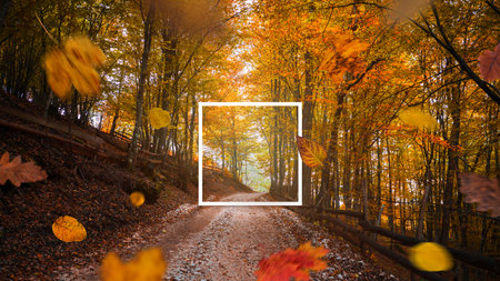 Forest road covered with colorful leaves and falling foliage in motion, bright golden tones create beautiful seasonal travel sceneの写真素材