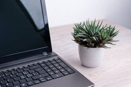 Laptop computer next to green succulent plant on wooden desk, natural office workspace scene symbolizing balance between technology and simplicityの写真素材