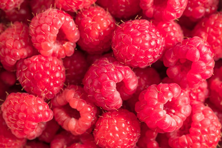 Freshly picked raspberries