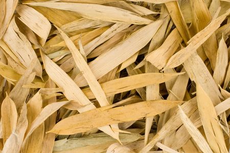Many dry bamboo leaves as a backgroundの写真素材