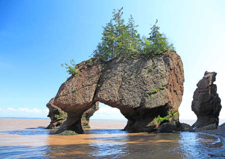 Flower Pot Island at Hopewell Rocks in New Brunswick, Canadaの写真素材