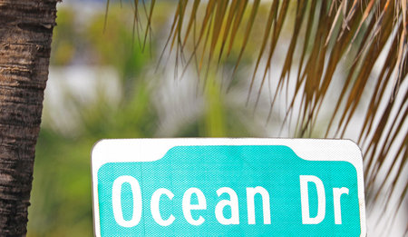 A sign in front of a palm tree with the text Ocean Dr