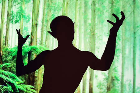 Crazy elf. A fairy tale in the forestの写真素材