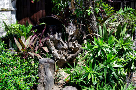 Little vacation in the philippines.の写真素材