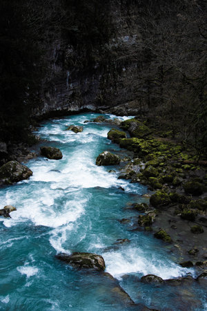Beautiful river in the old forest.の写真素材