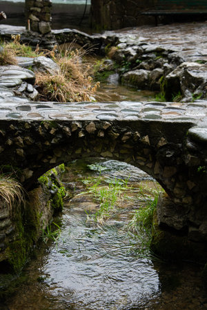 Beautiful river in the old forest.の写真素材