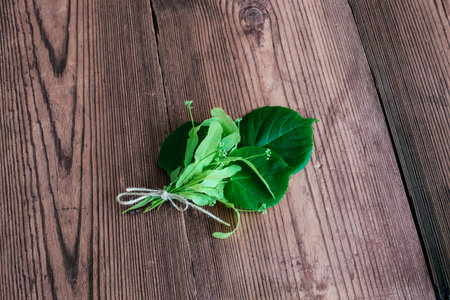 fresh string bud green herbs linden wooden brown table