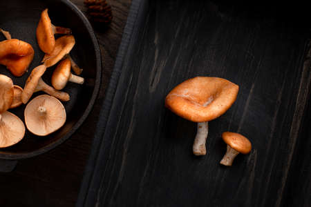 Raw fresh mushroomon on cast-iron pan left, and two mushrooms on right, on wood background. Top view, space for textの写真素材