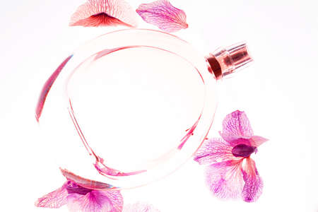 Clear transparent Perfume or aroma bottle with flowers. Orchid, woman perfume on white background with orchid.の写真素材