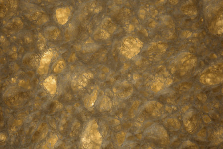 The surface of the foam sponge for washing dishes. Porous structure. Cleaning and hygiene. Close-up....