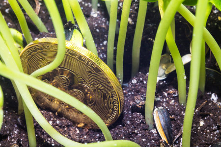 Crypto currency. Bitcoin. A crisis. The find. Treasure. The gold coin depreciated and was thrown to the ground like garbage.の写真素材