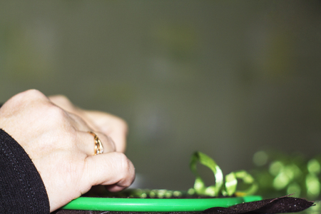 The hands of a woman are engaged in crafting.の写真素材