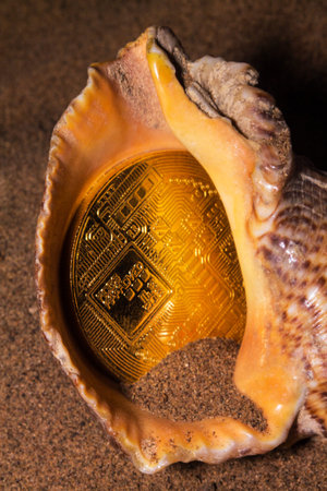 Crypto currency bitcoin in the sand in the shell.