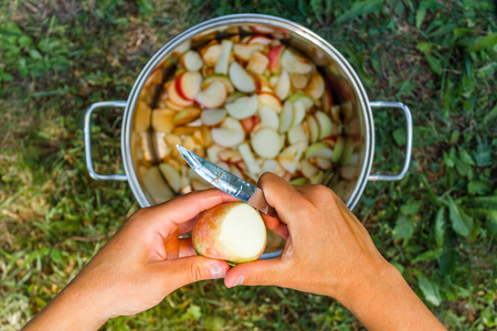 Top down view, female hands hold an apple and a kitchen knife and cut apples into pieces over pan and green grass.の写真素材