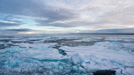 Icebreaker in the ice travel in the Arctic