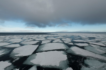 Sea ice in the Barents Sea near Franz Josef Land in summerの写真素材