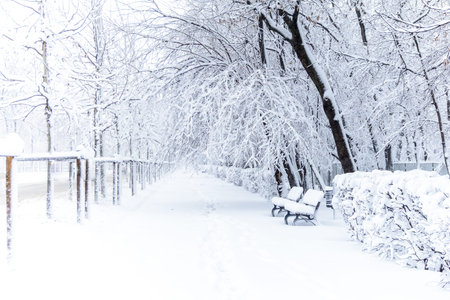 Winter park with benches covered with snow. Park benches foregrounds winter scenic, covered trees an...