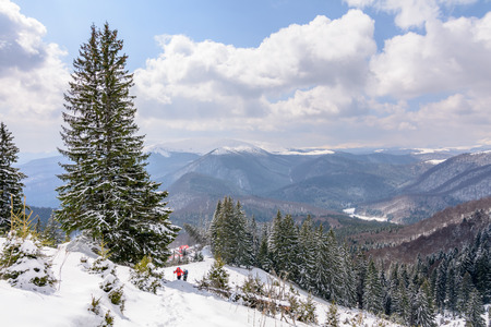 Panoramic view with two skiers and covered trees. Winter landscape of snow-covered trees on mountains with beautiful sky.のeditorial素材