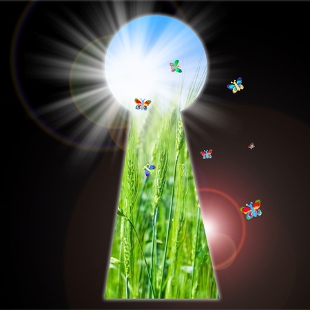 Keyhole - the door to another dimension. Field, sky, sun and butterflys.の写真素材
